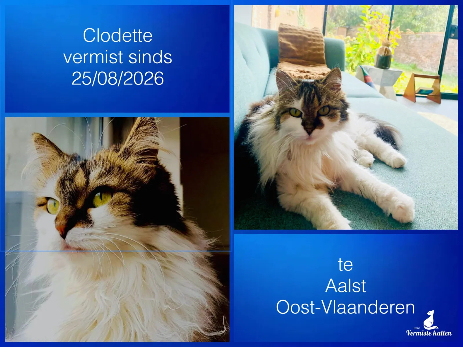 Clodette