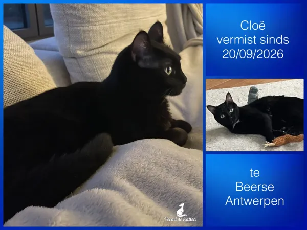 Cloë