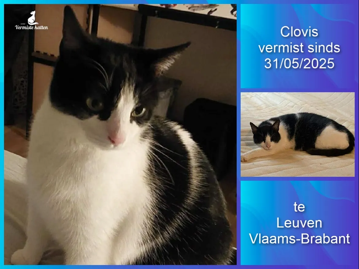 Clovis