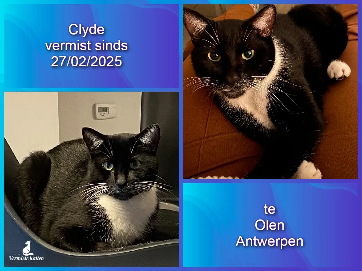 Clyde