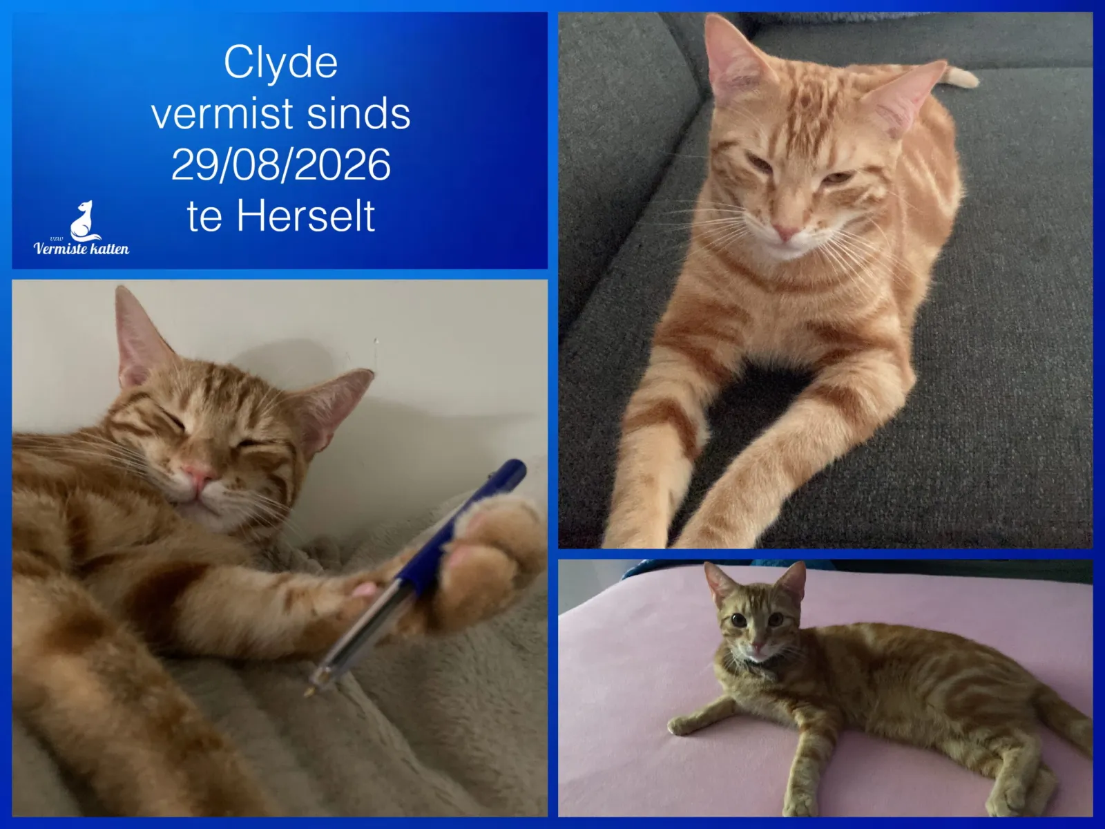 Clyde