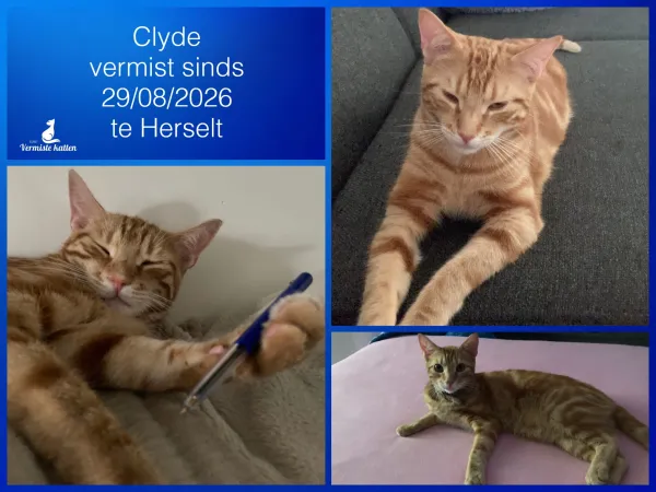Clyde