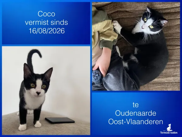 Coco