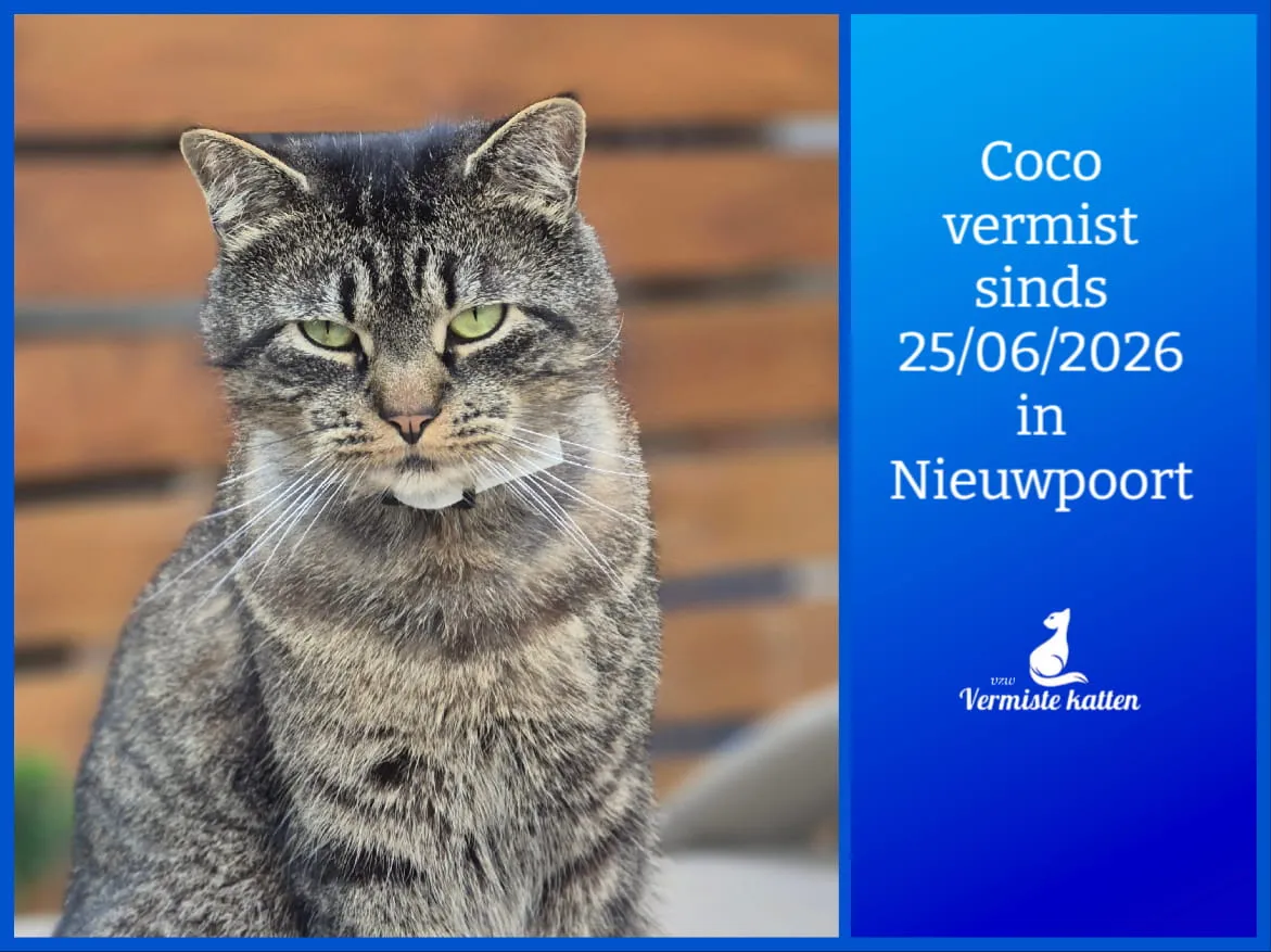 Coco