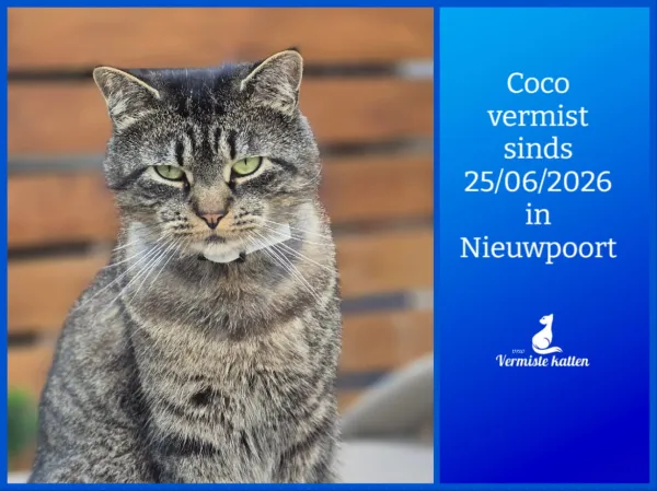 Coco