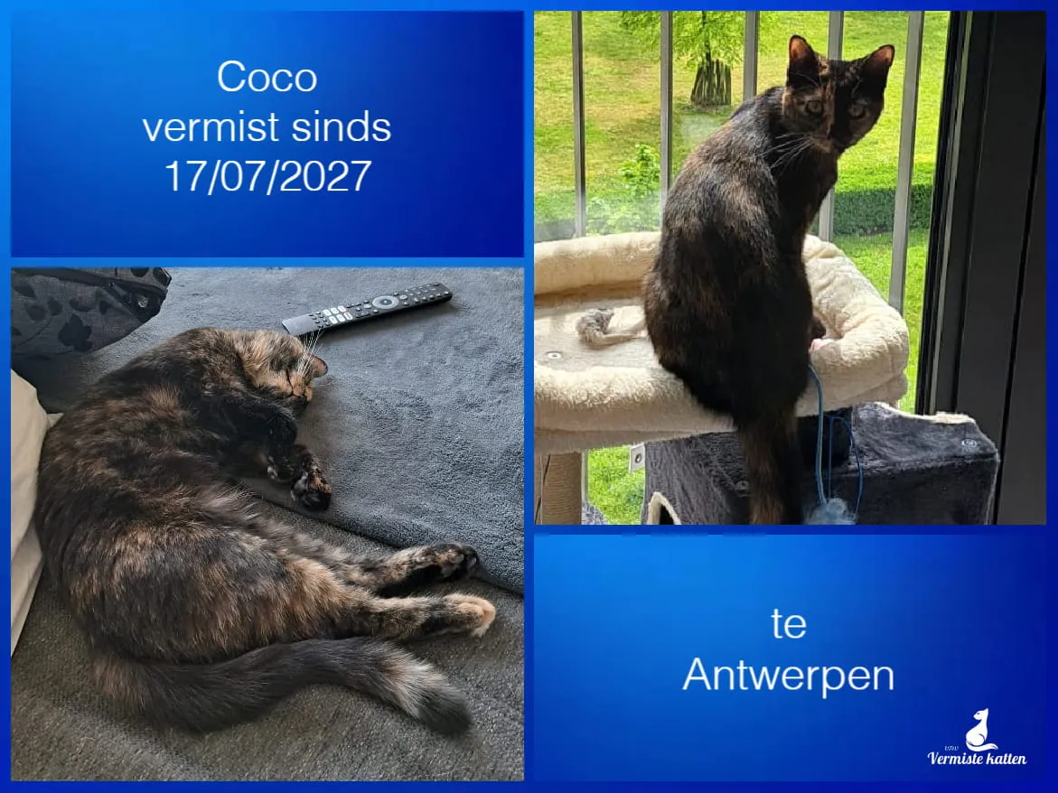 Coco