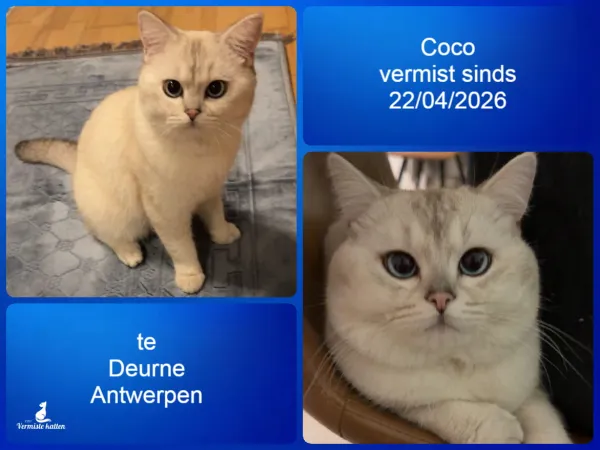 Coco