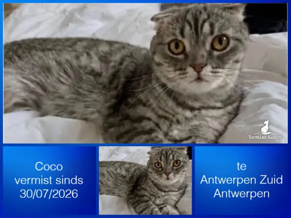 Coco