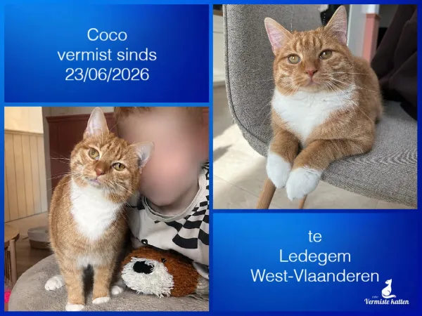 Coco