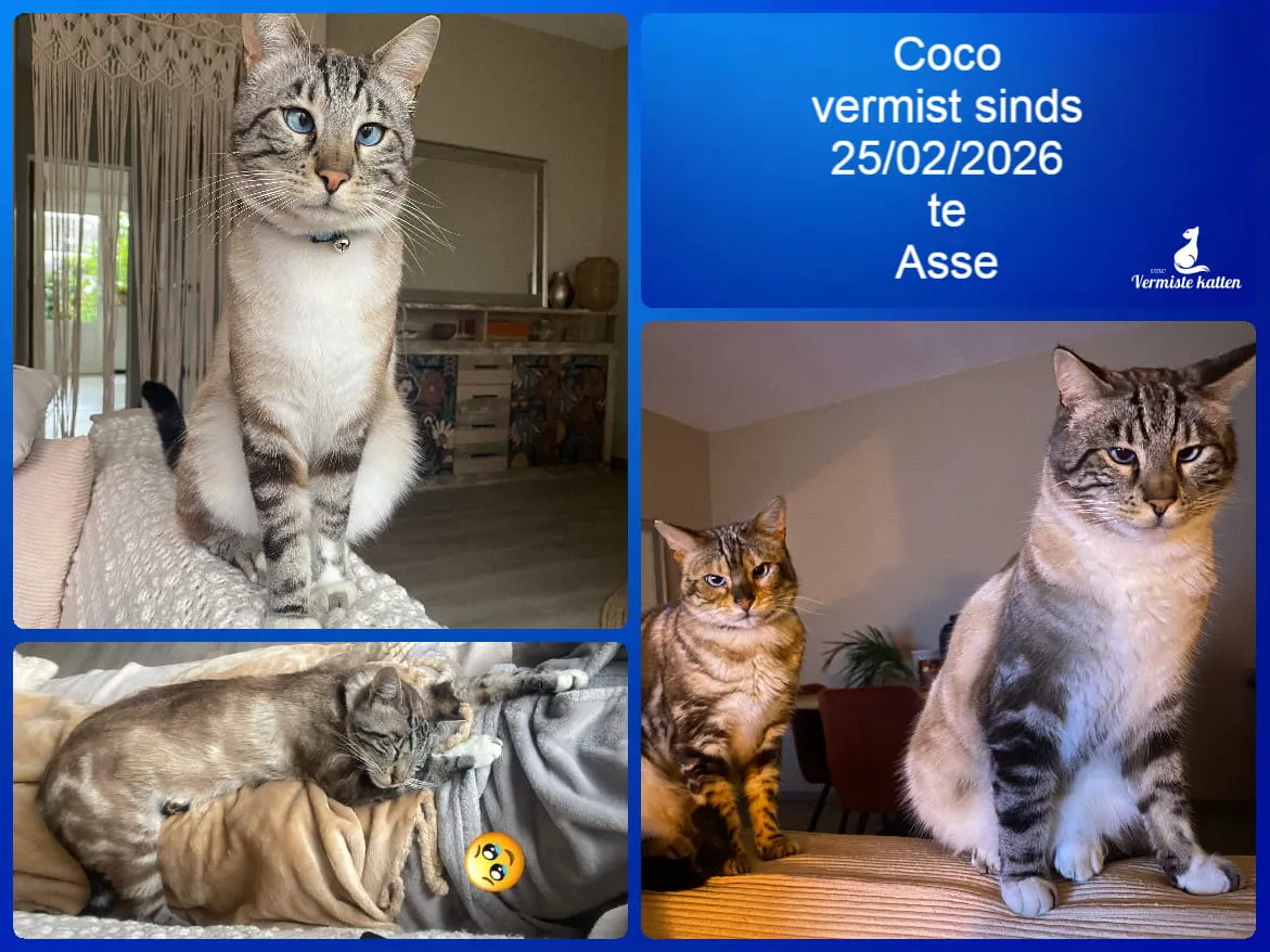 Coco