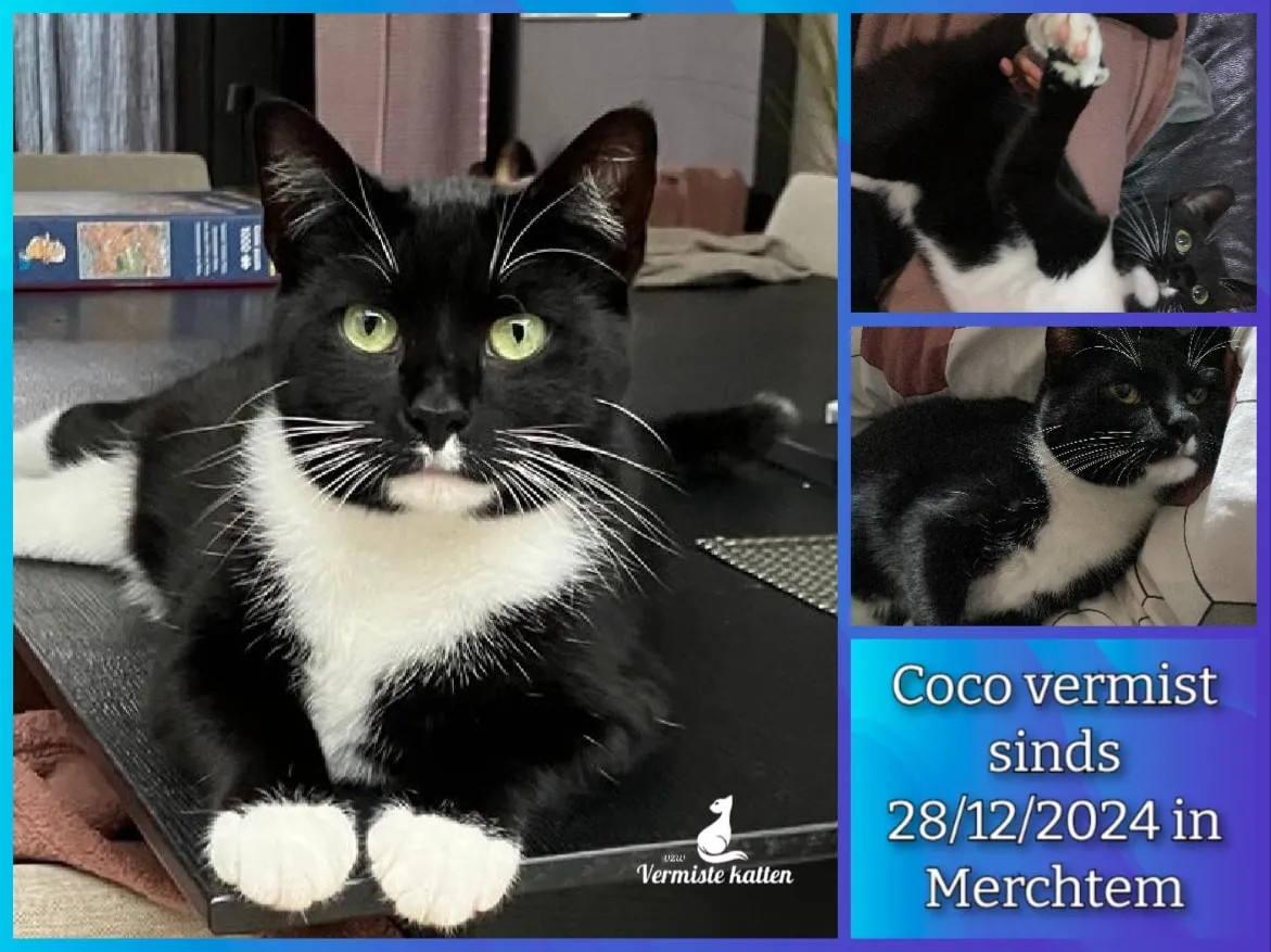 Coco