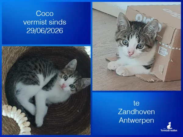 Coco