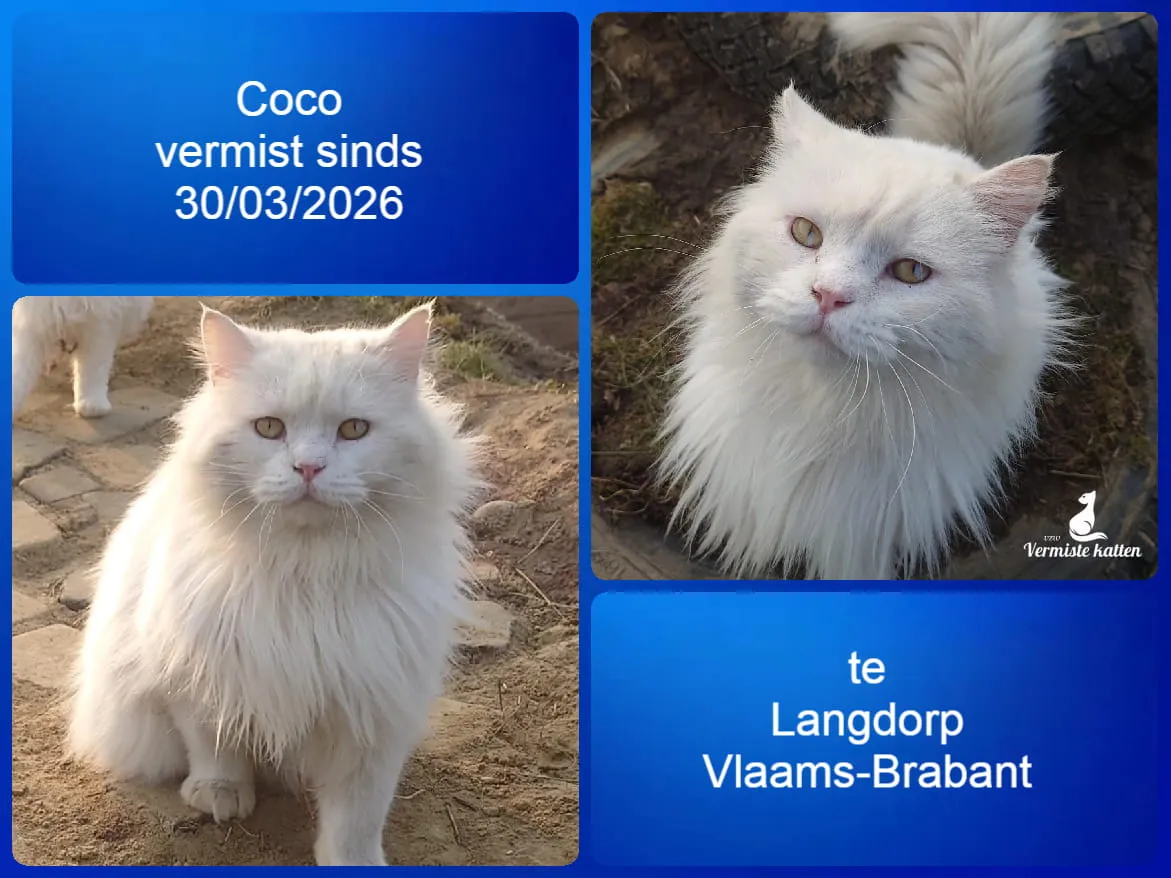 Coco