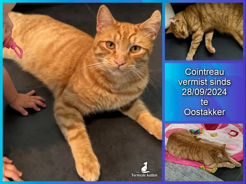 Cointreau