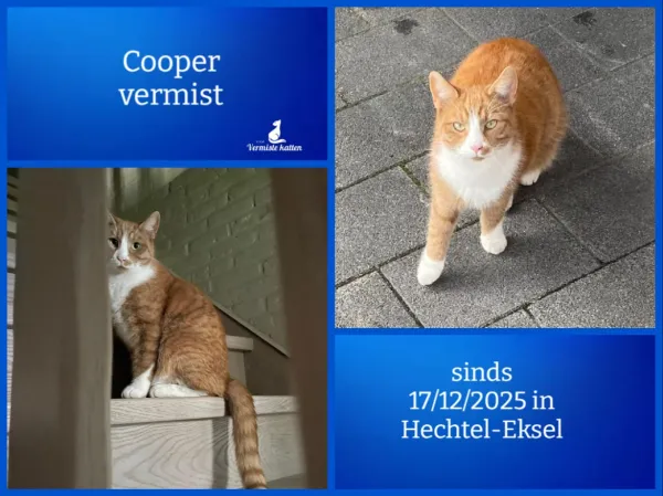 Cooper