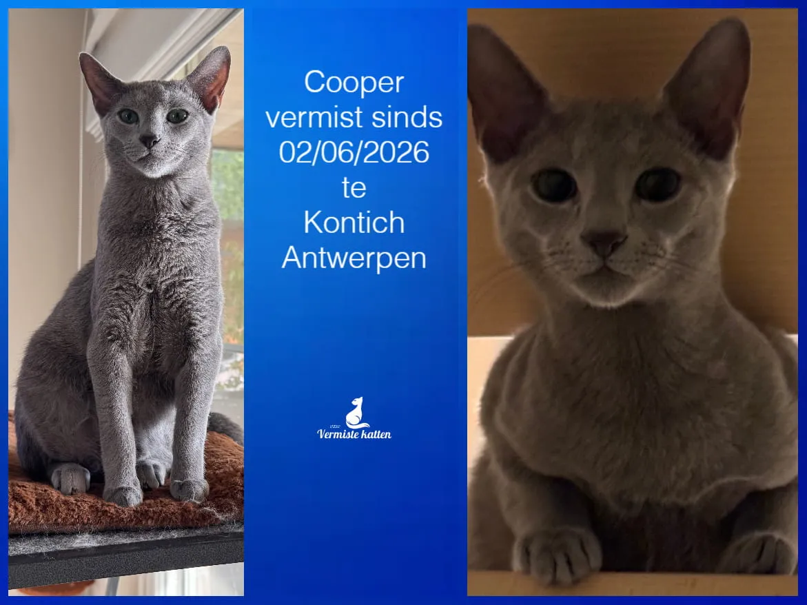 Cooper