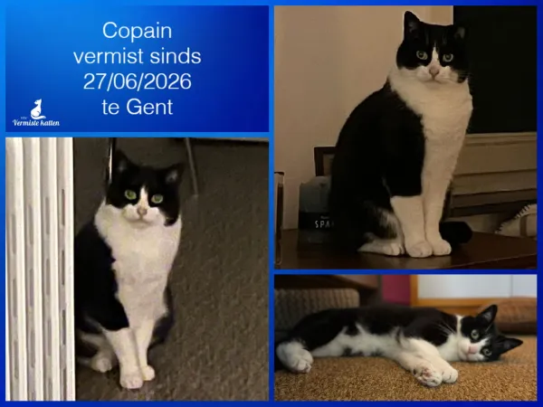 Copain