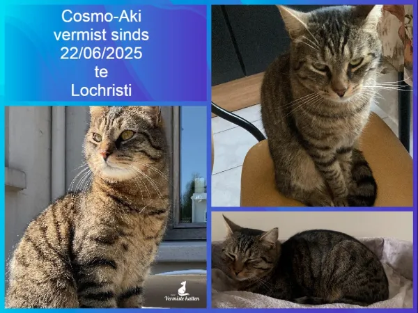 Cosmo-Aki