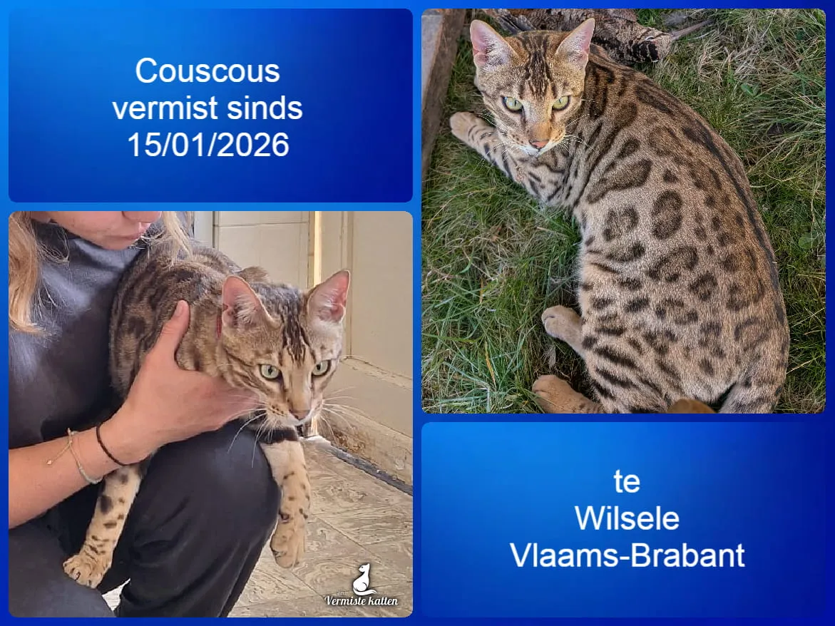 Couscous