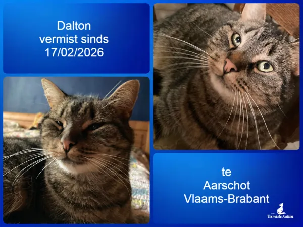 Dalton