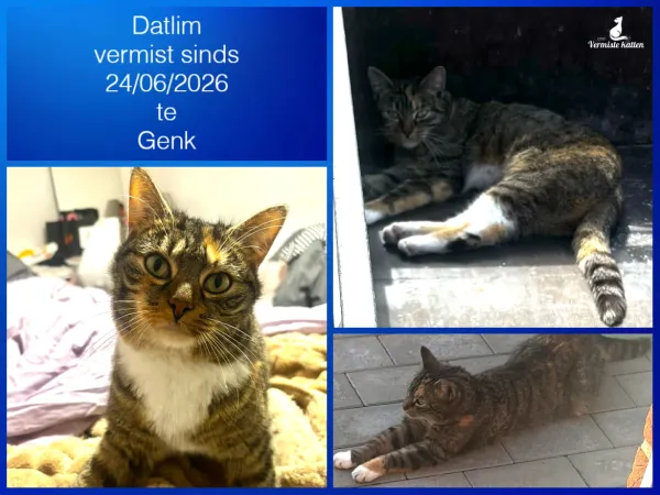 Datlim