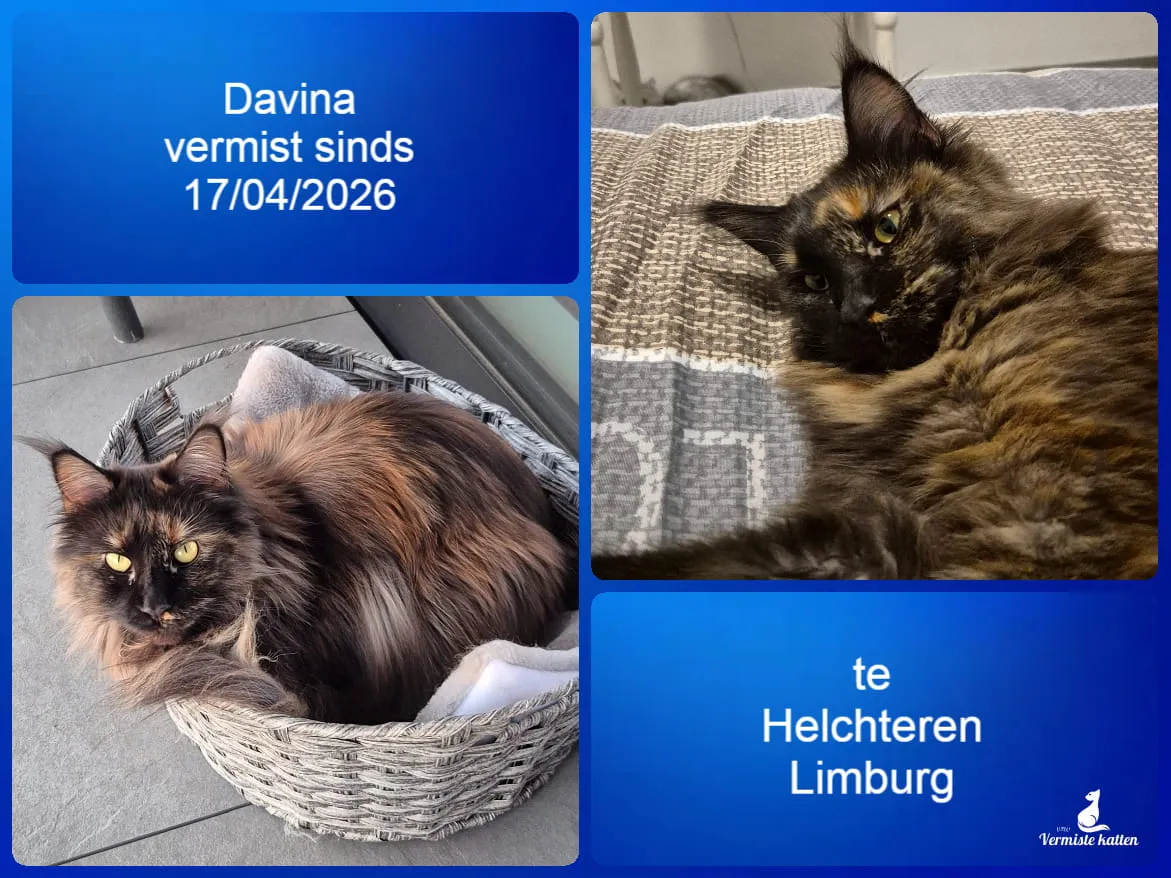 Davina