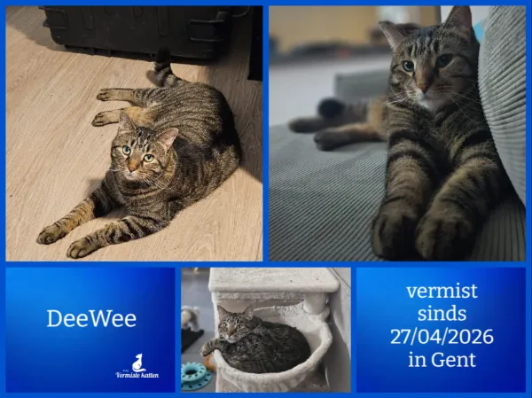 DeeWee