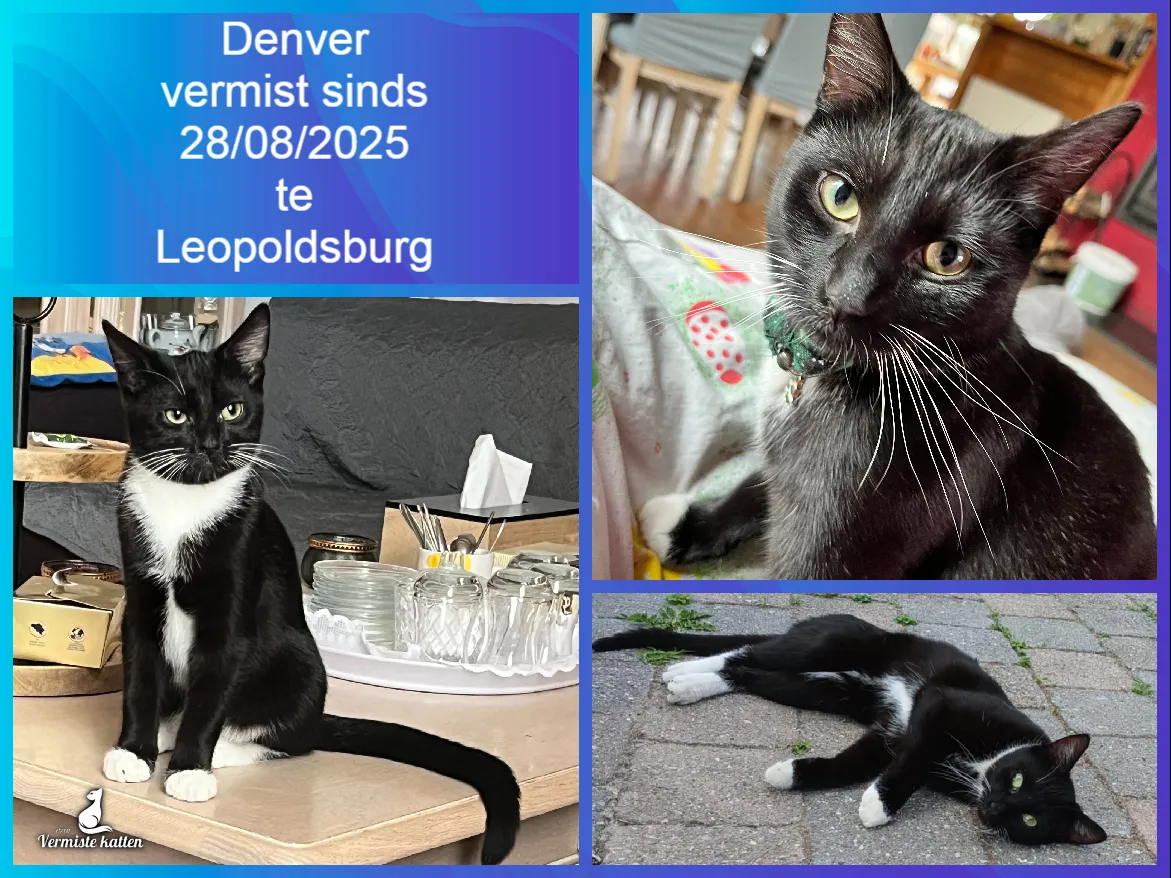 Denver