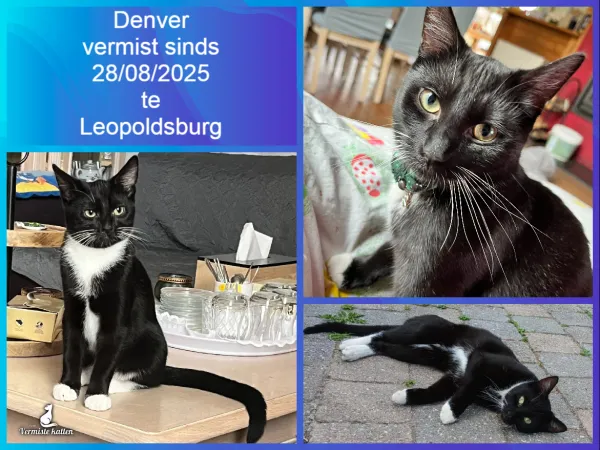 Denver