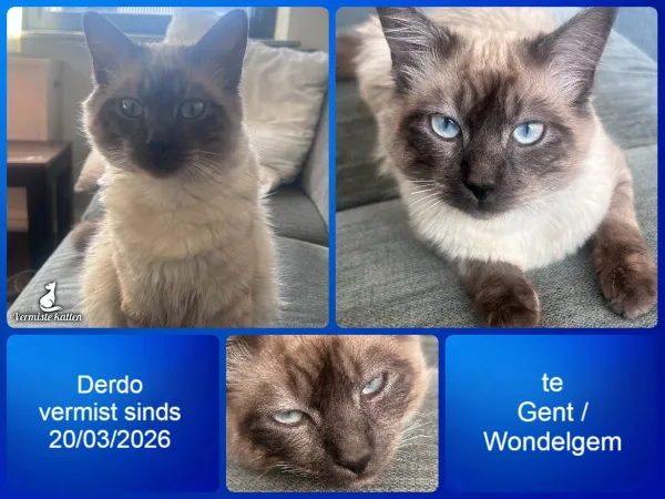 Derdo