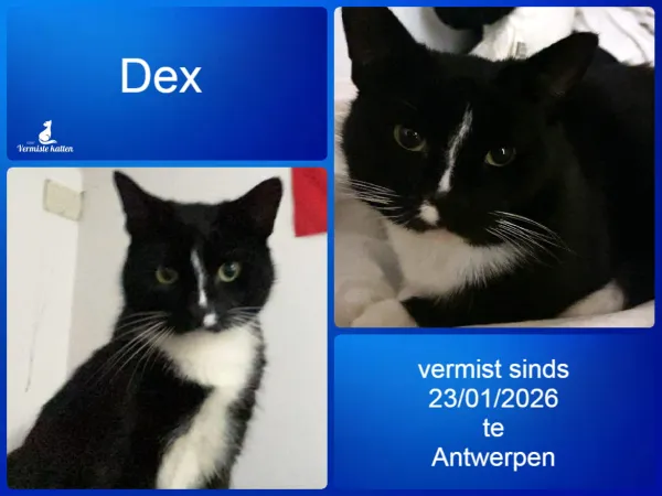 Dex