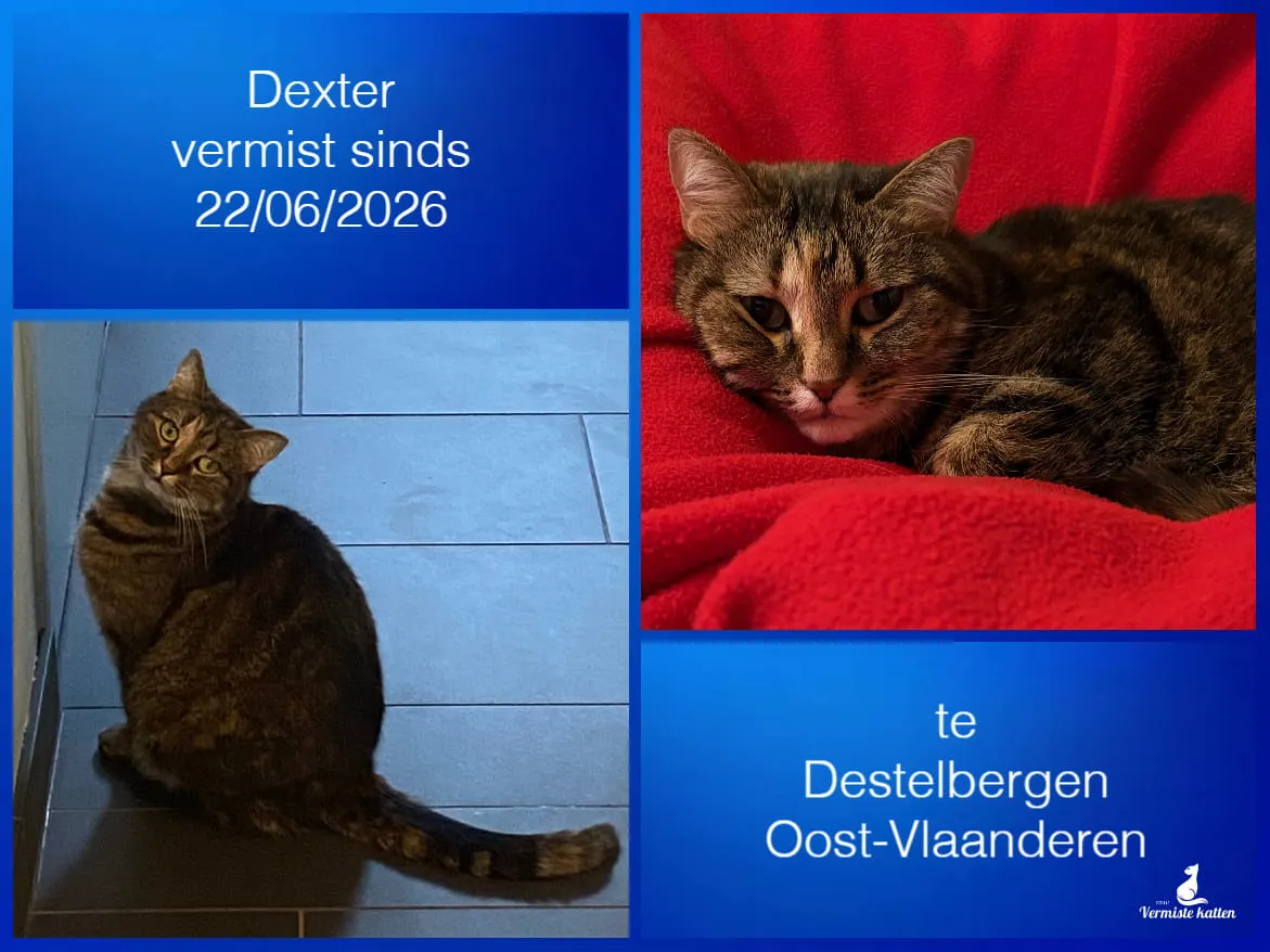 Dexter