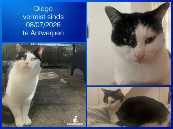 Diego