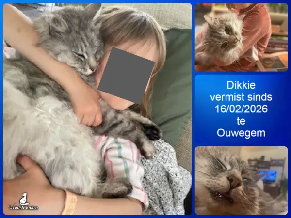dikkie