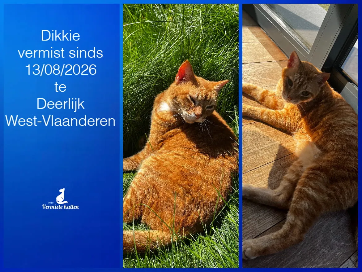 Dikkie