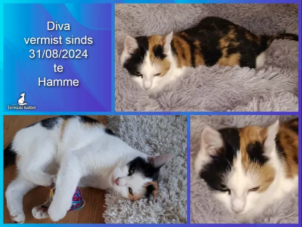 Diva