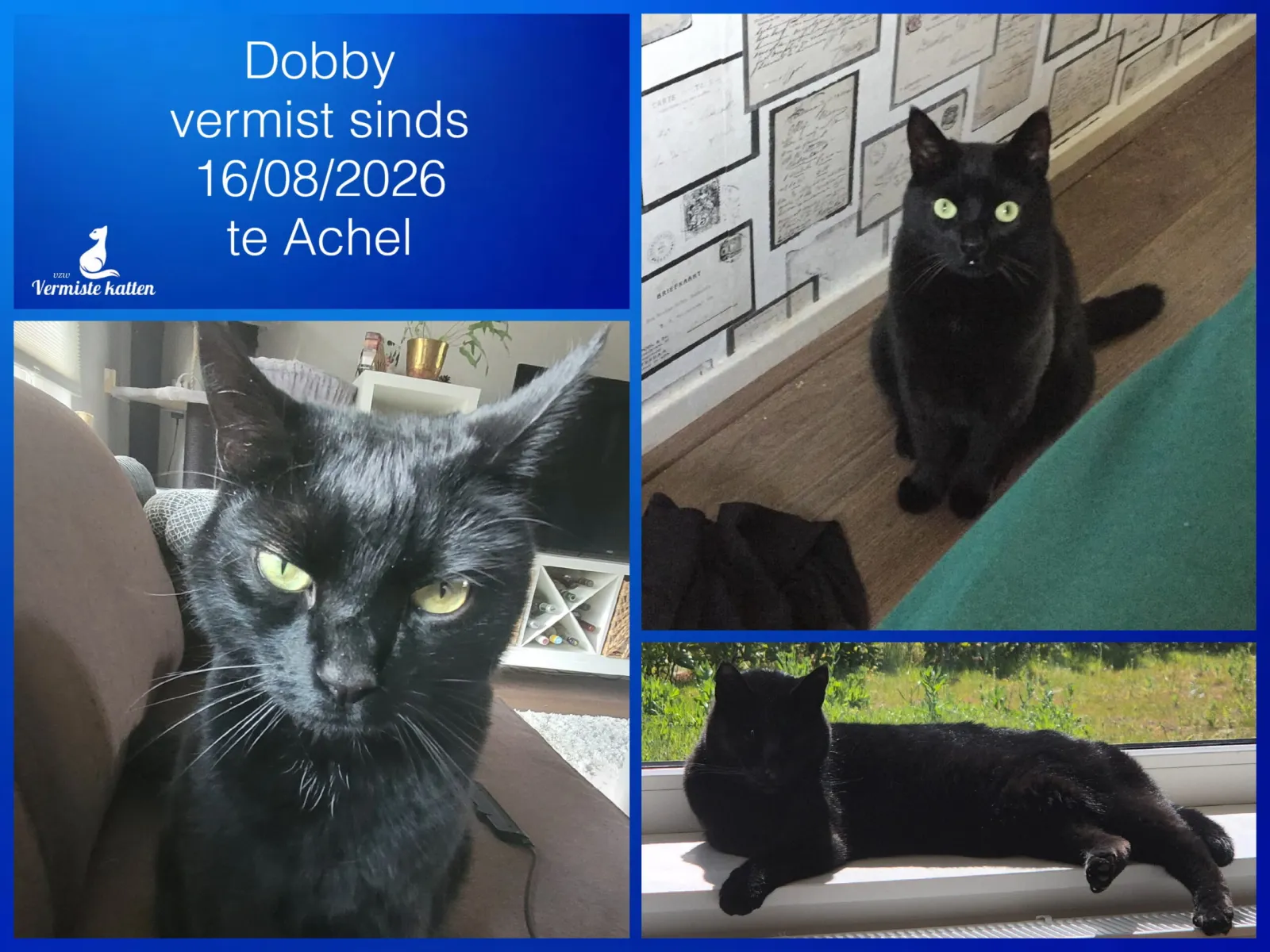 Dobby