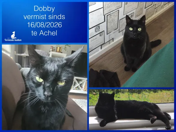 Dobby