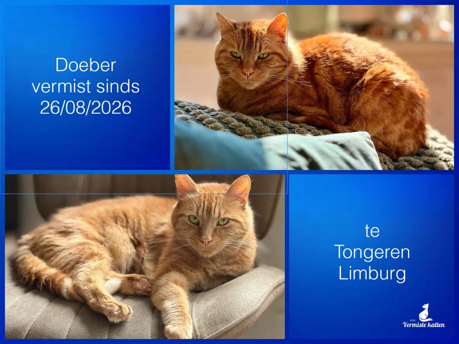Doeber