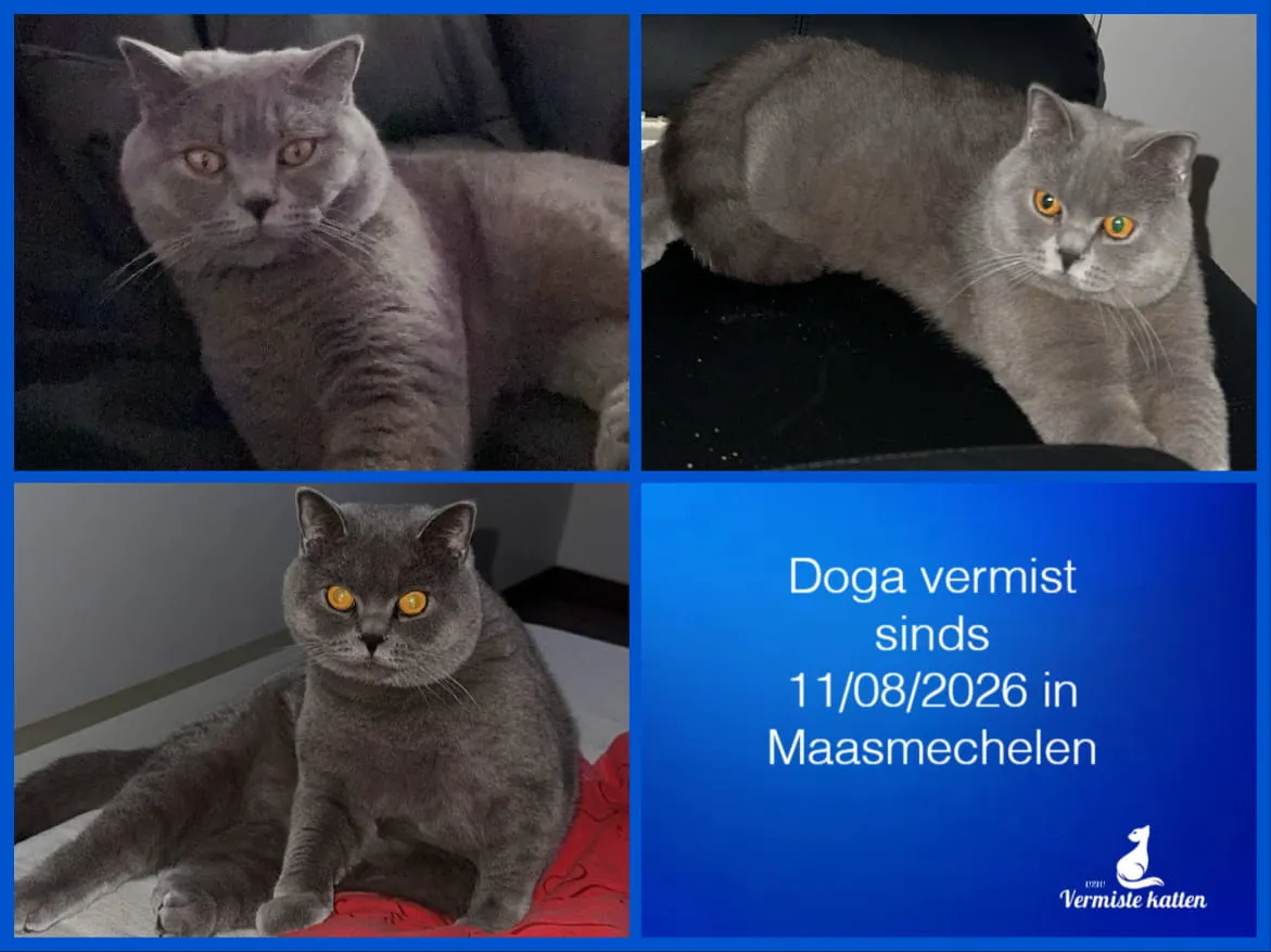 Doga