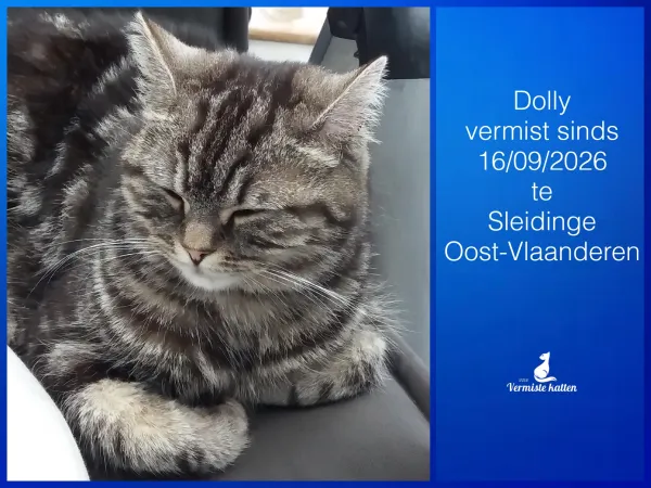 Dolly