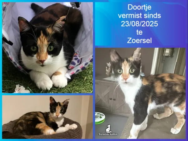 Doortje