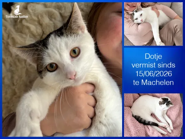 Dotje