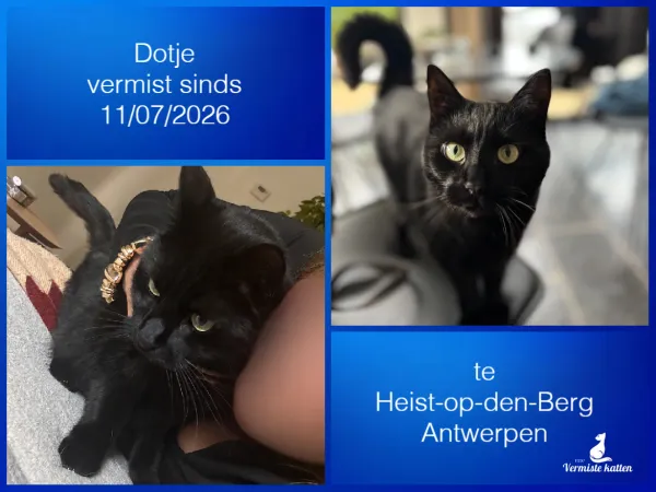 Dotje