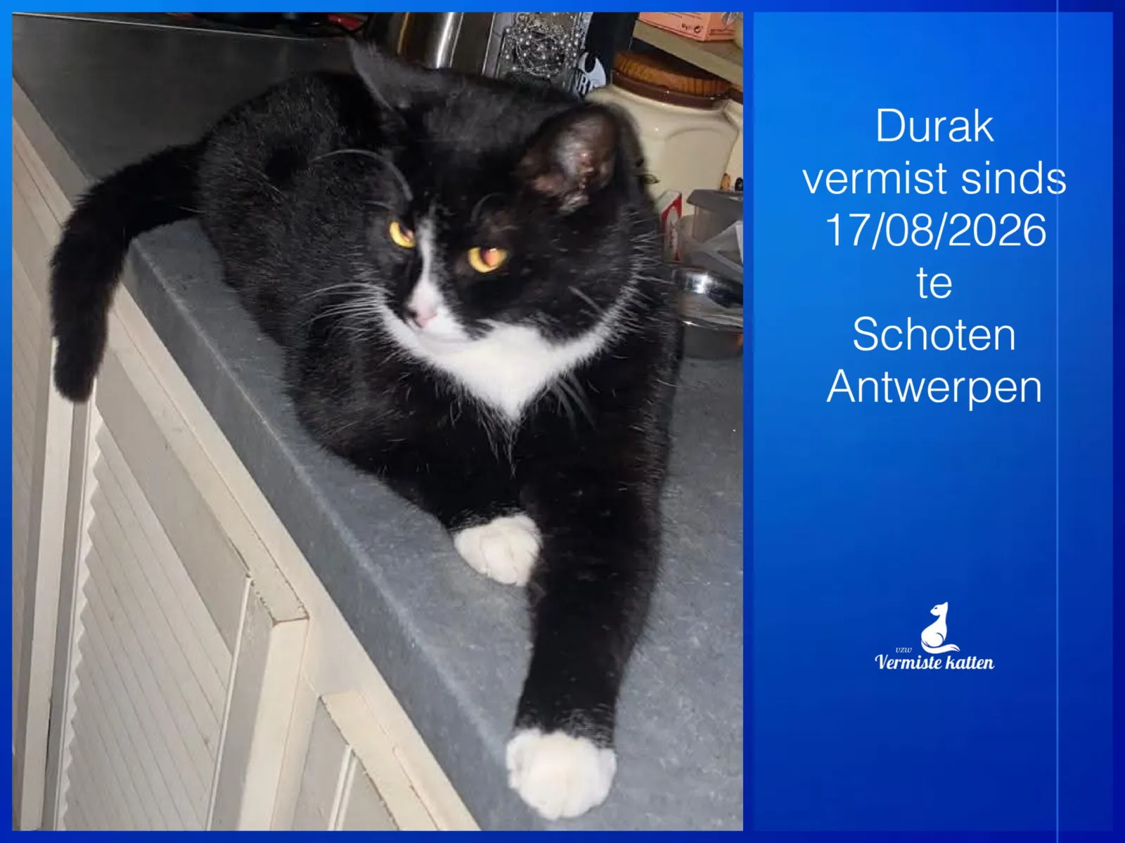 durak