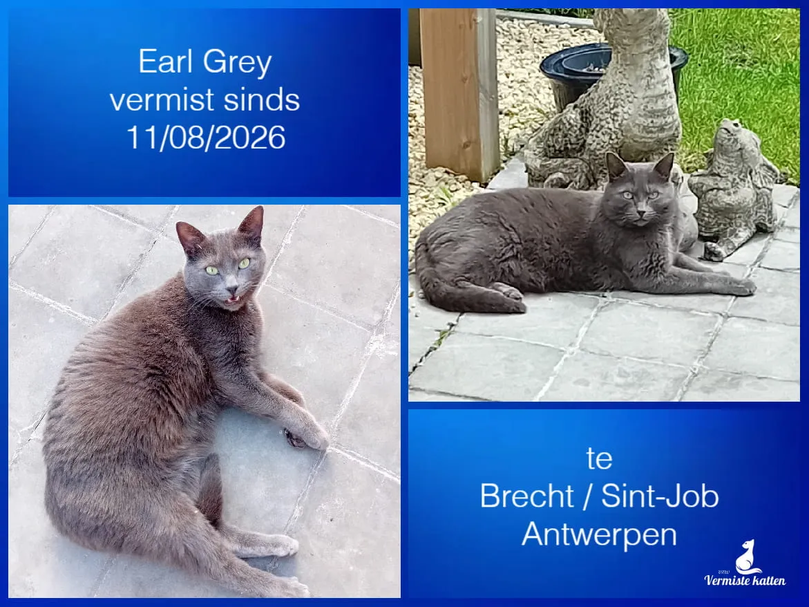 Earl Grey