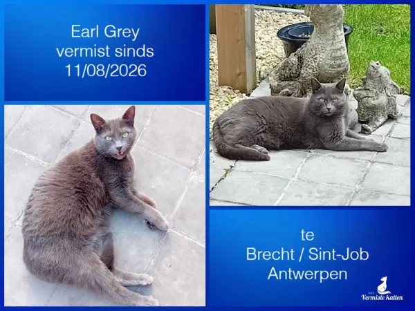 Earl Grey