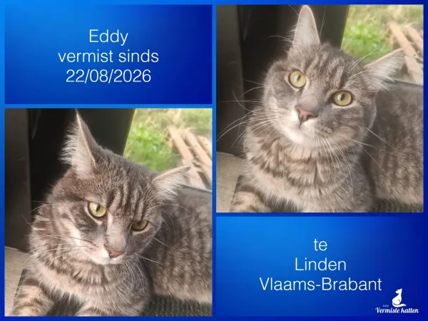 Eddy