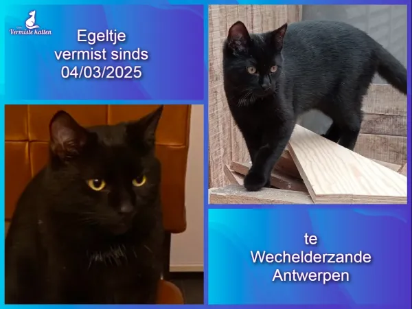 Egeltje