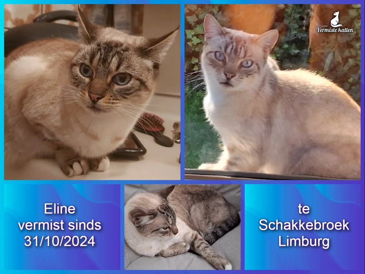 Eline
